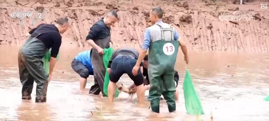 以“花”為媒、以“旅”促農 勾勒鄉村振興新圖景