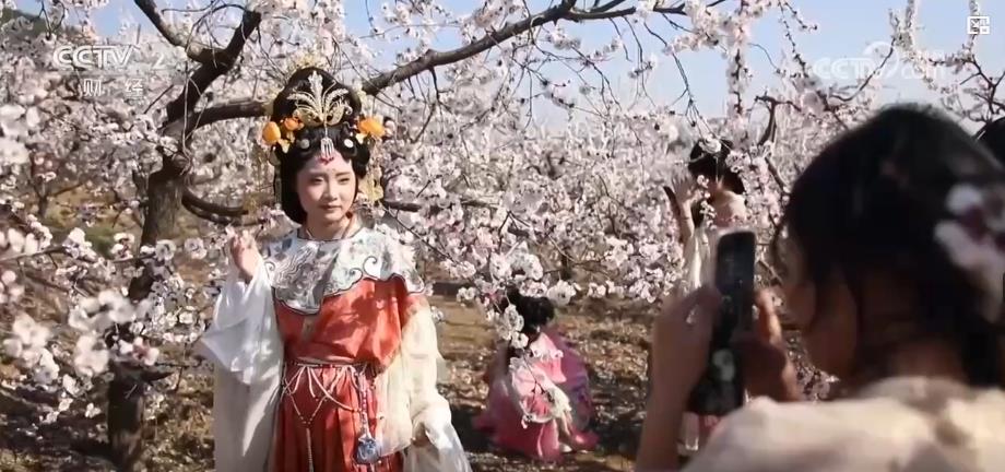 以“花”為媒、以“旅”促農 勾勒鄉村振興新圖景