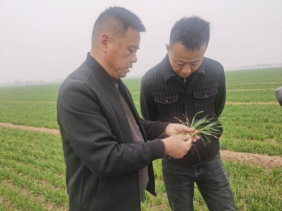 春耕一線見聞：“大國糧倉”藏著“科技密碼”