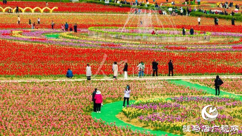 【邀您打卡】3月22日，嵖岈山郁金香園盛大啟幕