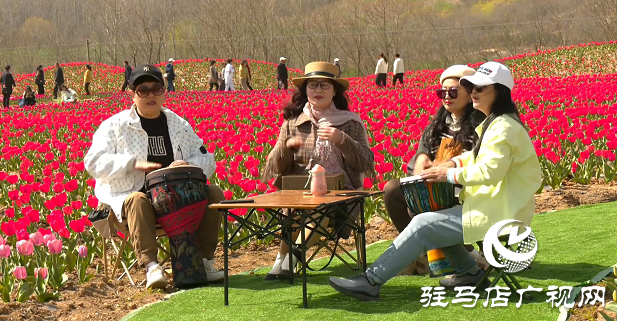 【邀您打卡】3月22日，嵖岈山郁金香園盛大啟幕