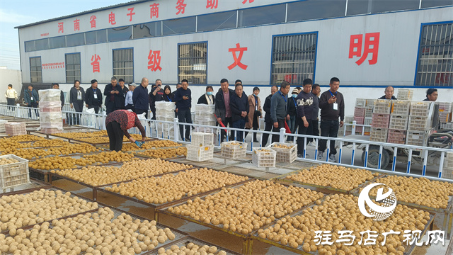 山西100余名高素質農民赴駐馬店市開發區六合紅心農民專業合作社參觀學習