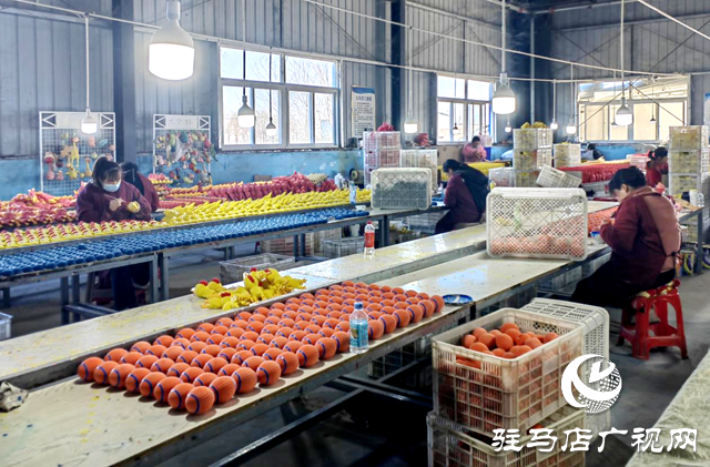 驛城區(qū)老河鄉(xiāng)石古莊村：小玩具撬動(dòng)大產(chǎn)業(yè) 鄉(xiāng)村工廠托起穩(wěn)穩(wěn)幸福