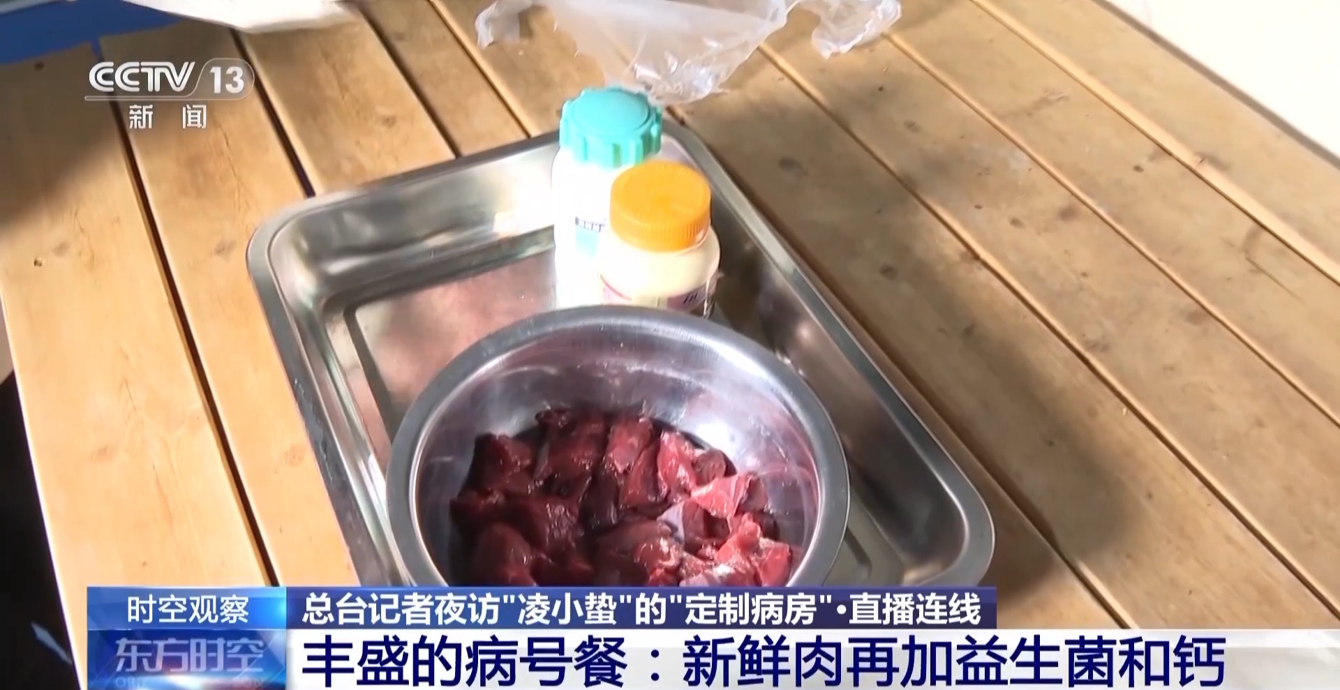 “命懸一線”的小雪豹“凌小蟄”做CT了 最新救治情況→