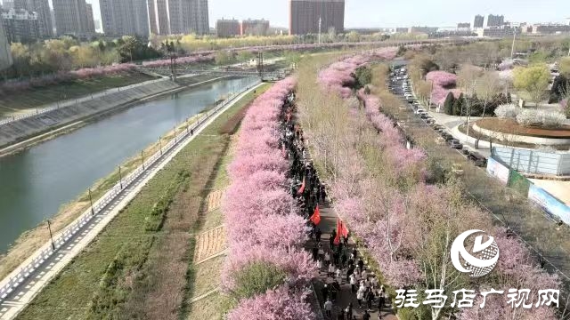 西平縣舉辦2025年“移風易俗樹新風 全民健身享健康”萬步有約全民健身健步走活動