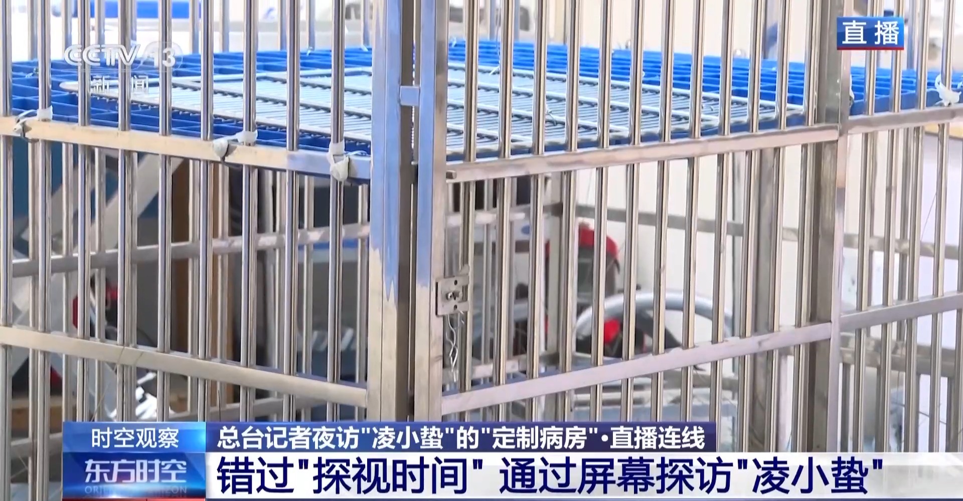 “命懸一線”的小雪豹“凌小蟄”做CT了 最新救治情況→