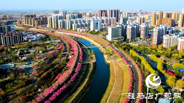  嫘祖故里美如畫 海棠花開迎客來(lái)