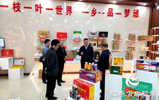  西平縣開展文化賦能產業振興走訪調研活動