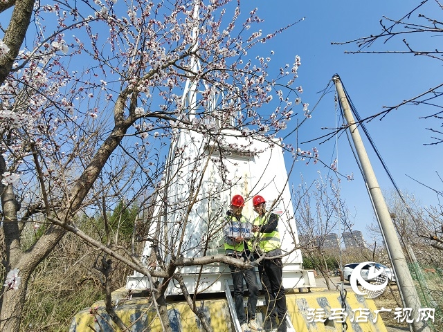 駐馬店移動(dòng)筑牢蔡氏祭祖大典通信保障網(wǎng)
