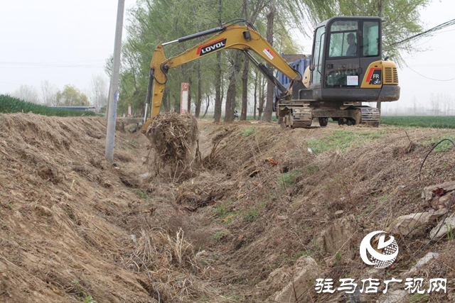 驛城區諸市鎮：暢通溝渠潤沃土 聚力共建惠民生