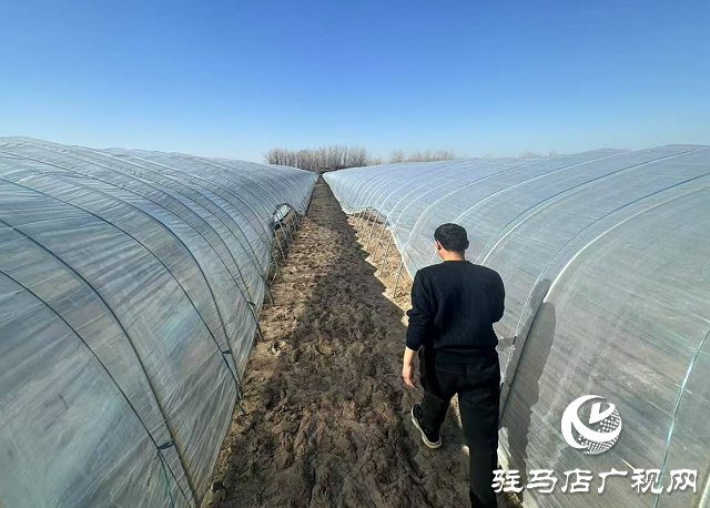 建行駐馬店分行：聚焦“三農” 金融服務賦能鄉村新發展