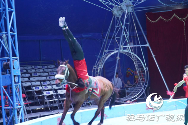 駐馬店各縣區網絡名人齊聚遂平 共尋天中最美春天