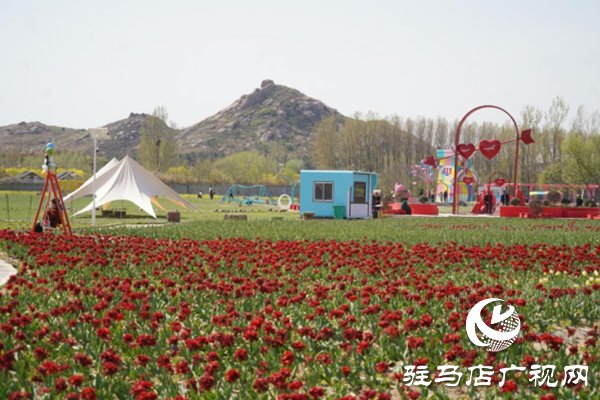 駐馬店各縣區網絡名人齊聚遂平 共尋天中最美春天