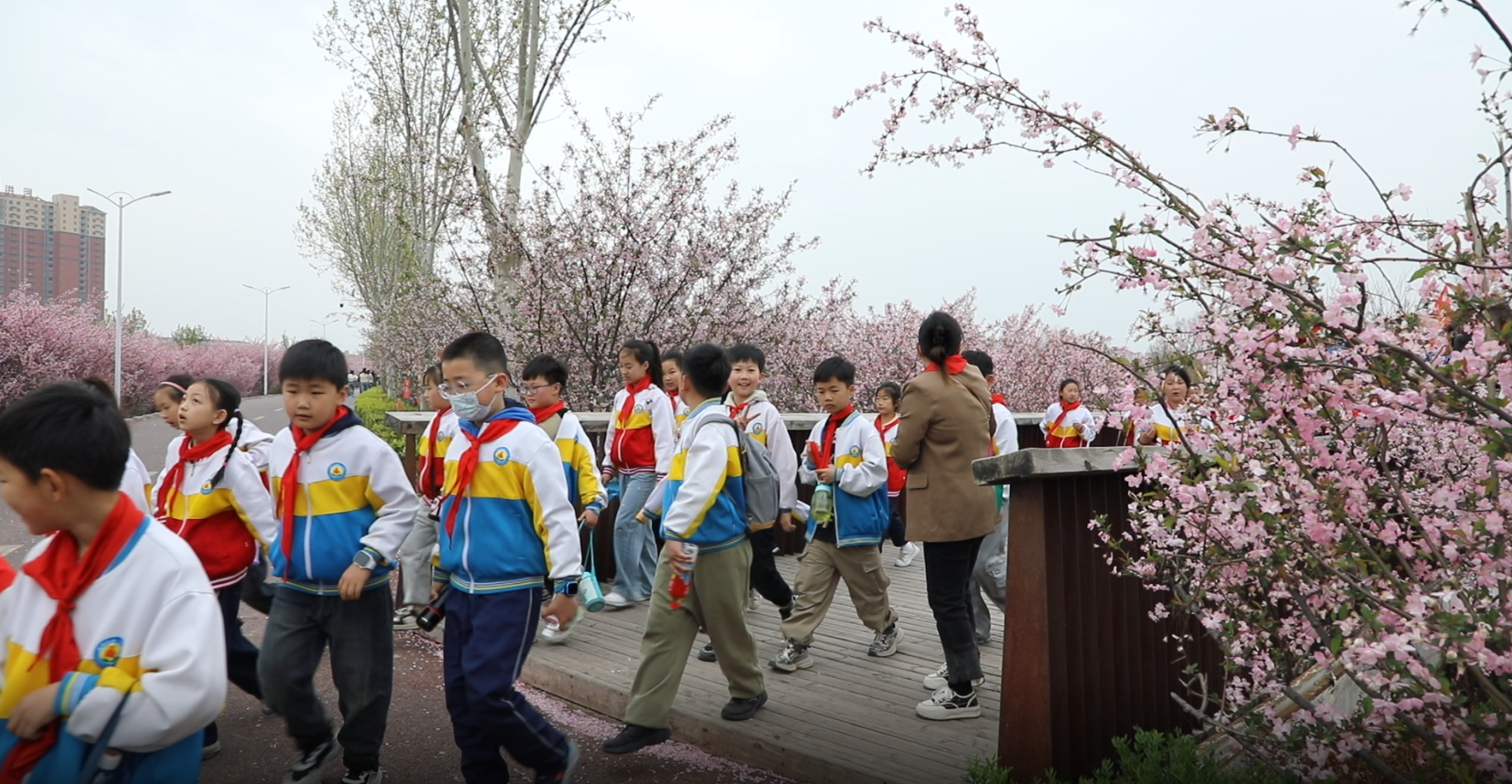 駐馬店清明游火爆：三天攬客162萬！