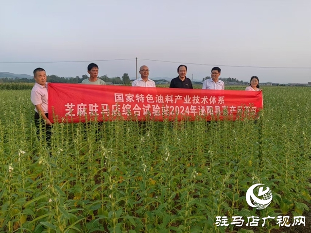 特色油料產業調研組到泌陽縣調研芝麻產業發展