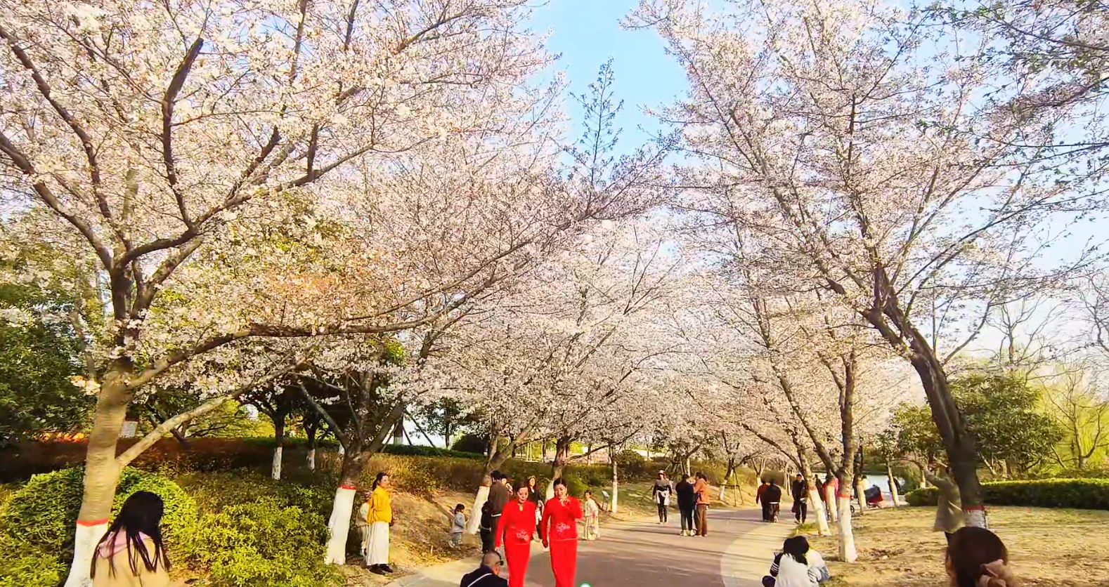 【城市旅游年票】讓你隨時隨地開啟精彩旅程！
