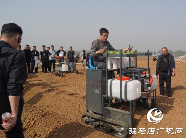 全省煙葉移栽環節農機農藝融合現場觀摩交流會在泌陽縣召開