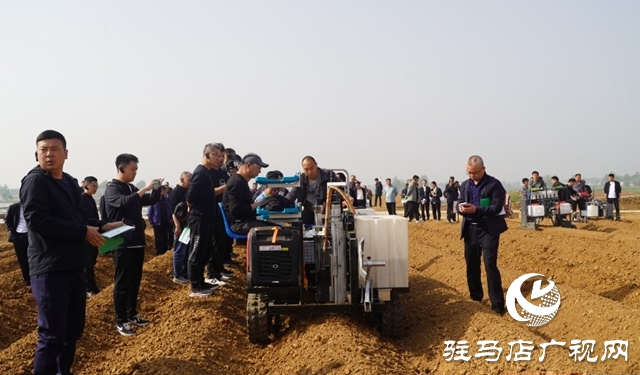 全省煙葉移栽環節農機農藝融合現場觀摩交流會在泌陽縣召開