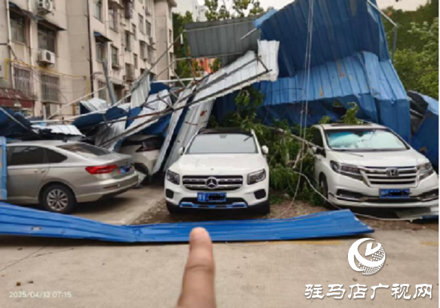 大風天氣車輛受損  中國人壽財險駐馬店公司高效救援 