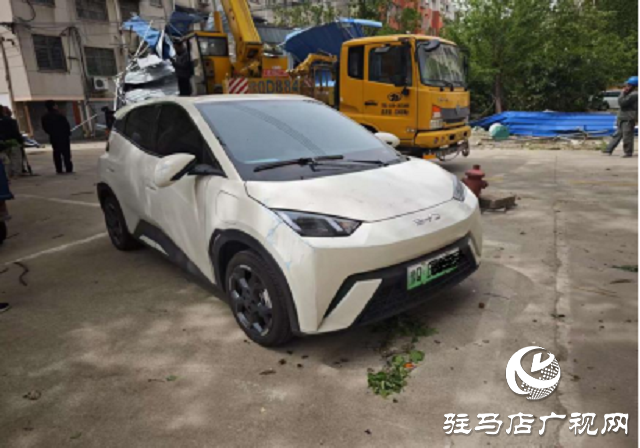 大風天氣車輛受損  中國人壽財險駐馬店公司高效救援 