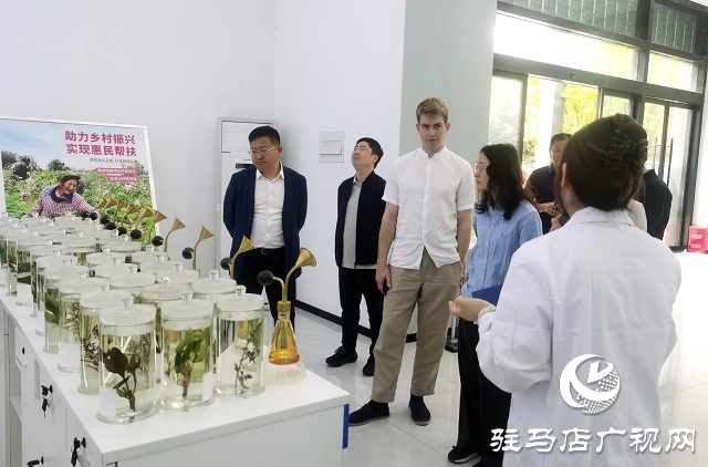 河南唐宮文創(chuàng)科技集團(tuán)調(diào)研駐馬店農(nóng)產(chǎn)園  探索產(chǎn)業(yè)融合新模式