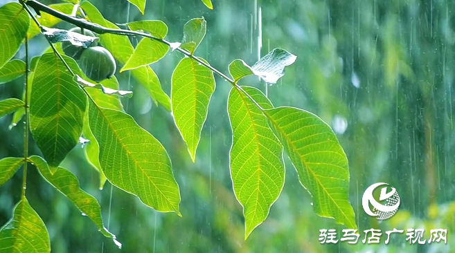 初夏：描繪時光的溫柔畫卷