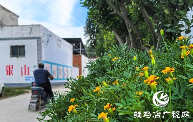 泌陽縣黃山口鄉:宜居鄉村宜共建,美好生活奮斗來