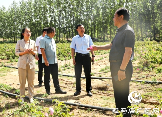 泌陽:黨建引領促振興 “紅色引擎”譜新篇