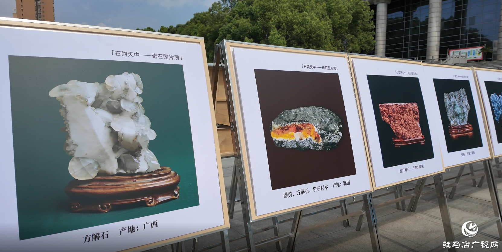 2025駐馬店文化藝術進校園活動啟動