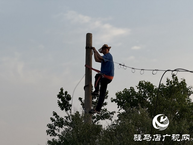 烈日下的堅守：駐馬店聯通公司全力保障麥收季通信生命線