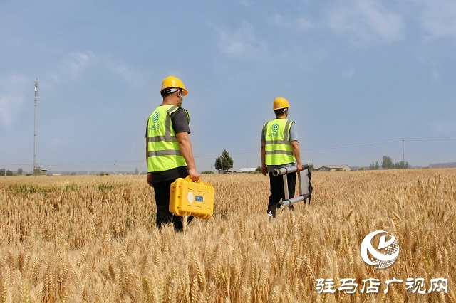 駐馬店移動西平分公司開展機房巡檢 全力保障通信網絡穩定運行