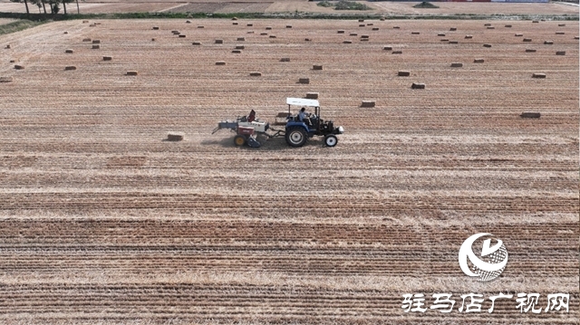 泌陽縣：秸稈循環利用“變廢為寶”