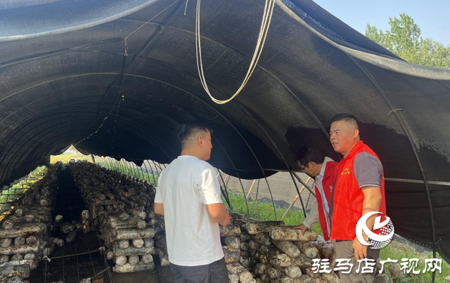 泌陽縣:科技服務到田間 特色產業促發展