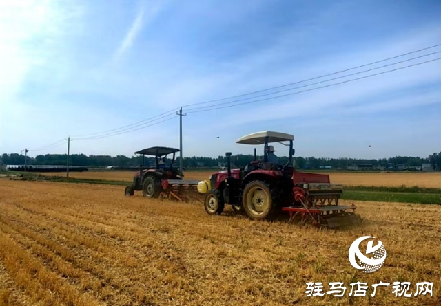 泌陽縣郭集鎮(zhèn)：積極推廣大豆玉米帶狀種植 助力農(nóng)業(yè)增效農(nóng)民增收