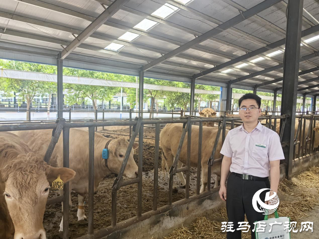 農行駐馬店泌陽縣支行呂紹勇：金融星火點亮鄉村振興路