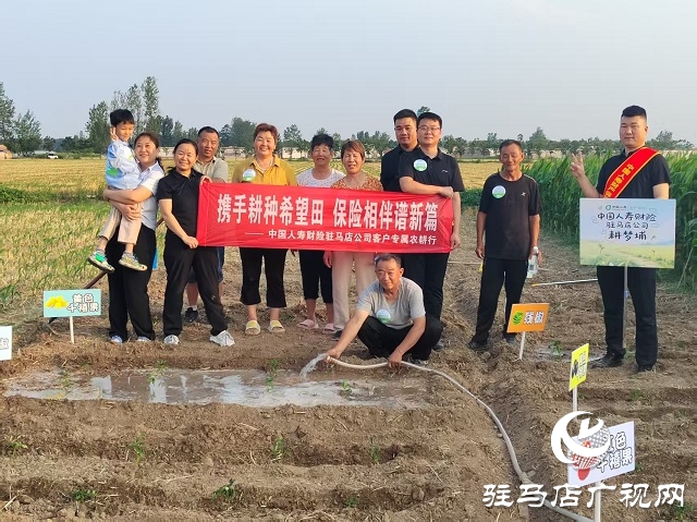 中國人壽財(cái)險(xiǎn)駐馬店公司:耕種希望土地  收獲保險(xiǎn)情誼