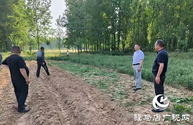 泌陽縣黃山口鄉(xiāng)：村村聽到禁毒聲 戶戶知曉禁種令