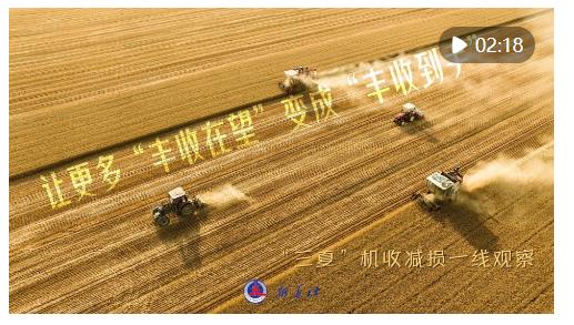 讓更多“豐收在望”變成“豐收到手”——“三夏”機(jī)收減損一線觀察