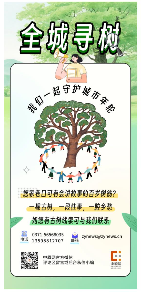 古樹長歌 | “頭道胡同”里的國槐,它曾一瞥“夕陽樓”的余暉