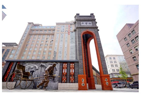 古樹長歌 | “頭道胡同”里的國槐,它曾一瞥“夕陽樓”的余暉