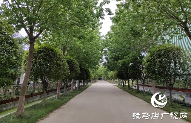 平輿縣李屯鎮：以“三園”建設助力產業化發展