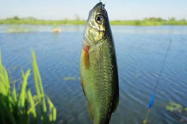 跟著文旅君玩轉駐馬店！探訪文化和心靈治愈之旅&rarr;