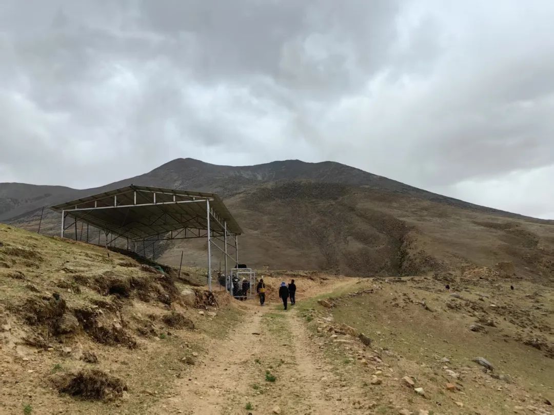 雪域瑰寶映文華 | 雪域高原上，用考古探索未知
