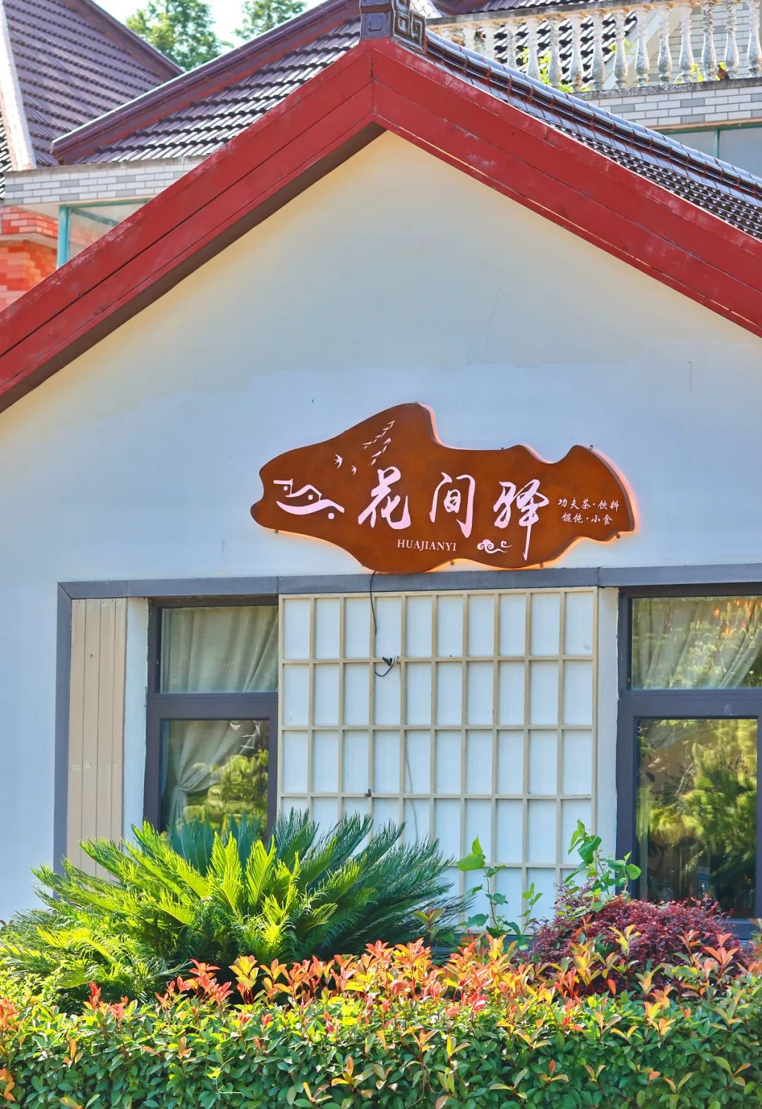 闖入夏日童話!上海近郊竟然有片23000㎡免費浪漫花海→