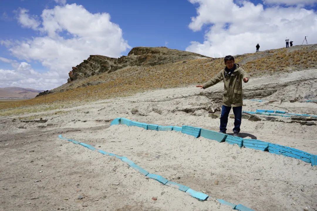 雪域瑰寶映文華 | 雪域高原上，用考古探索未知