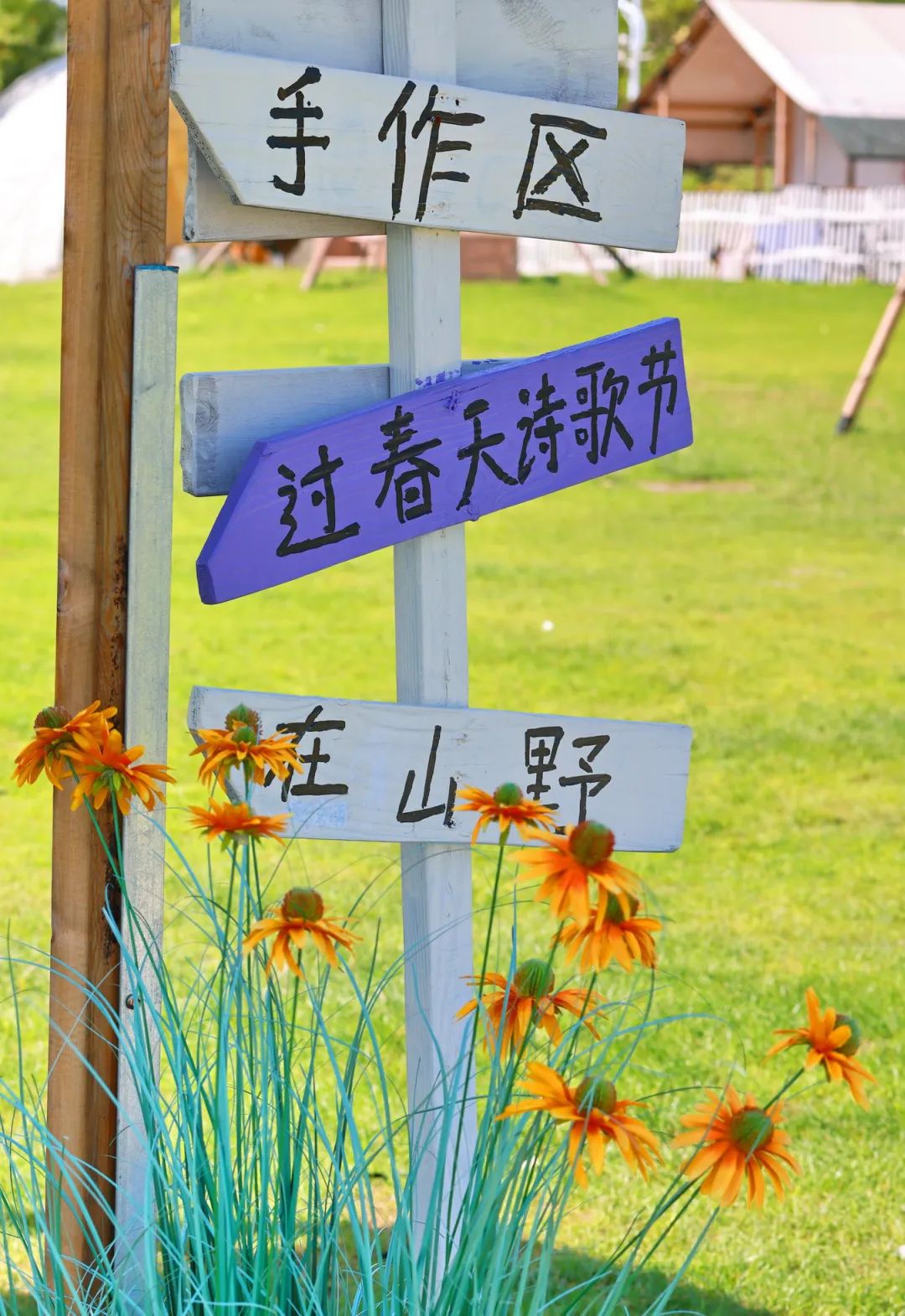 闖入夏日童話!上海近郊竟然有片23000㎡免費浪漫花海→