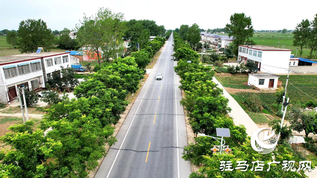 從隱患路到示范路！國道230通武線駐馬店段獲評國家級公路安全精品工程