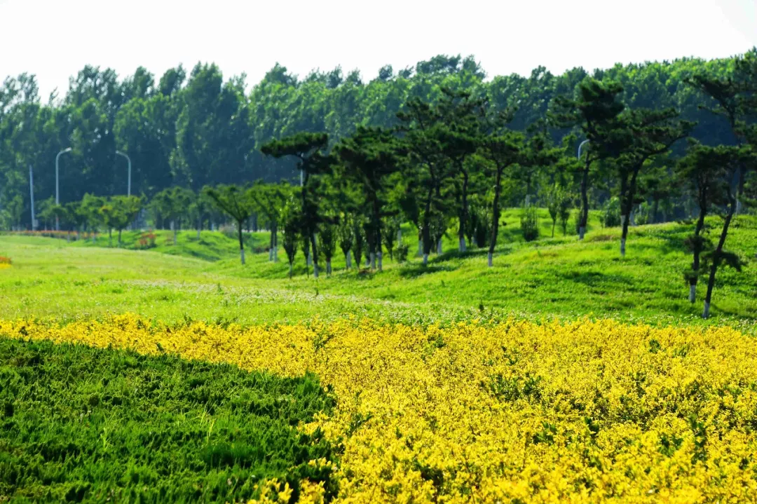  六月份的泌陽！美到心醉了......
