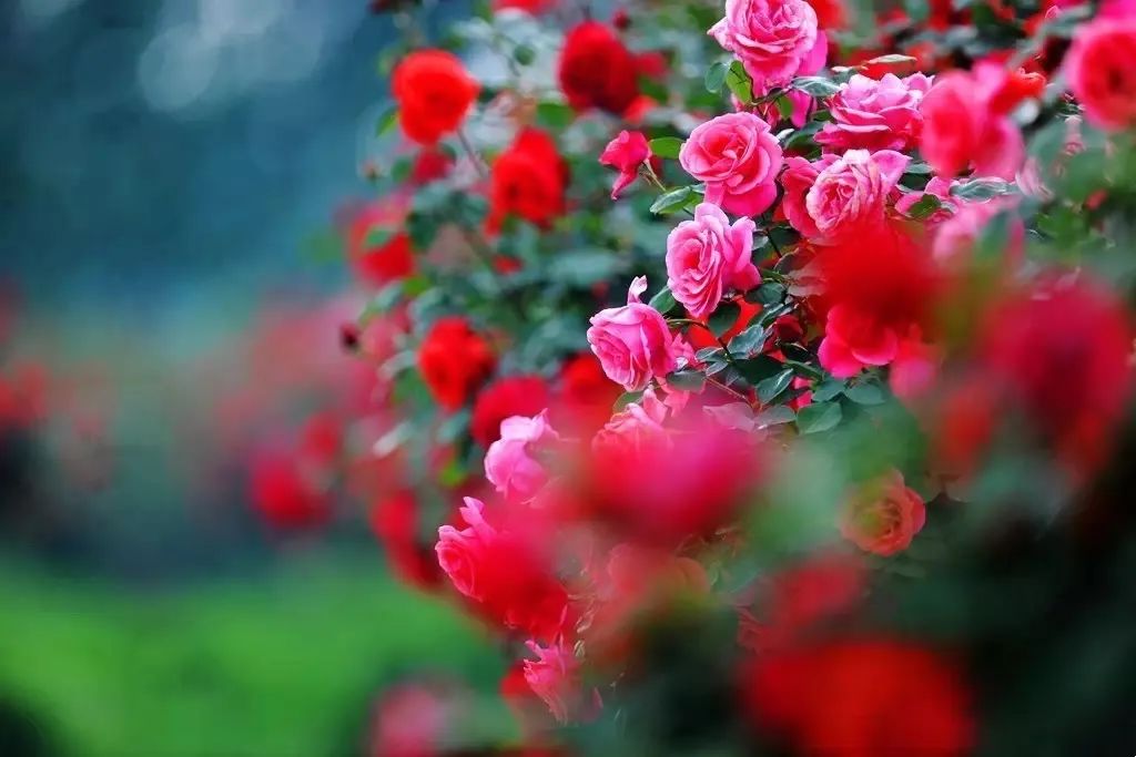 跟著文旅君玩轉駐馬店！開啟鄉村休閑體驗之旅&rarr;