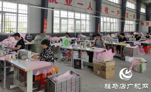 正陽縣彭橋鄉大劉村：鄉村車間助力村民實現“家門口”就業